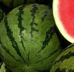 Wassermelonen